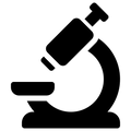 Evidence-Based Formulation