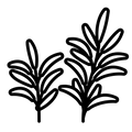 Rosemary Leaf Extract