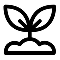 Anagain (2%)